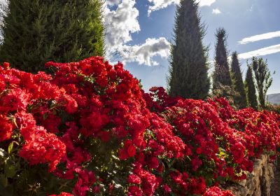 Далатский цветочный сад