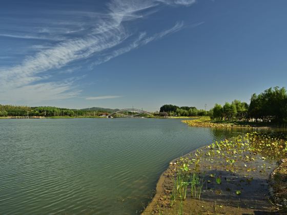 Longquanhu Wetland