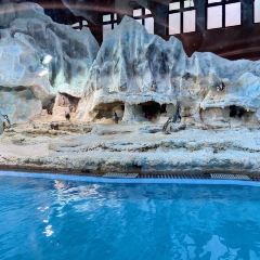珠海长隆企鹅酒店·烟花台中餐厅 ảnh của người dùng