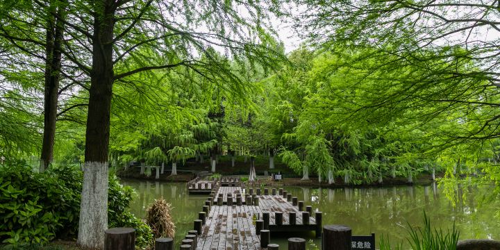 Chengbeihe Wetland Park