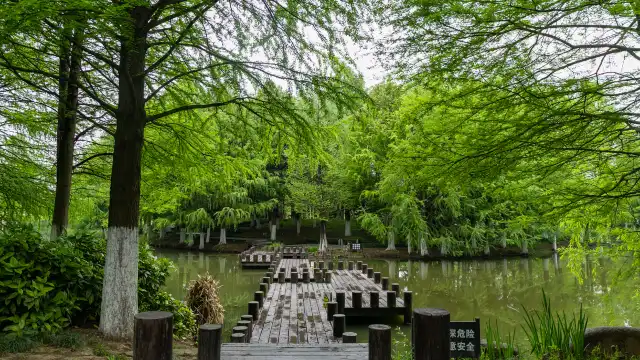 城北濕地公園附近的飯店