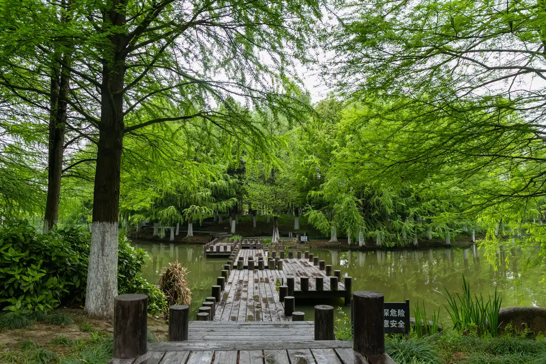 Hotel in zona Chengbeihe Wetland Park