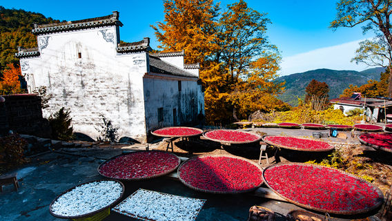 qi jing shan hua keng cun