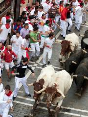 Running of the Bulls