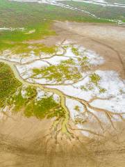 Yellow Sea Wild Deer Marshes