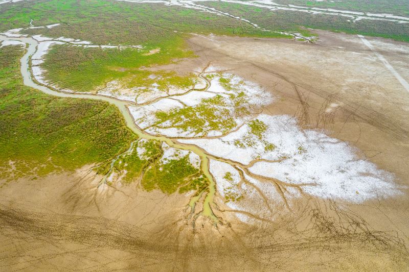 Yellow Sea Wild Deer Marshes