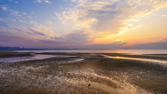 嵐山海水浴場