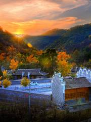 Anlu Qianchong Ginkgo Valley