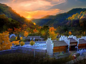 Anlu Qianchong Ginkgo Valley