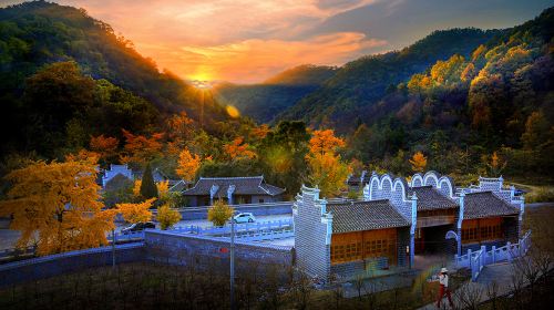 Anlu Qianchong Ginkgo Valley