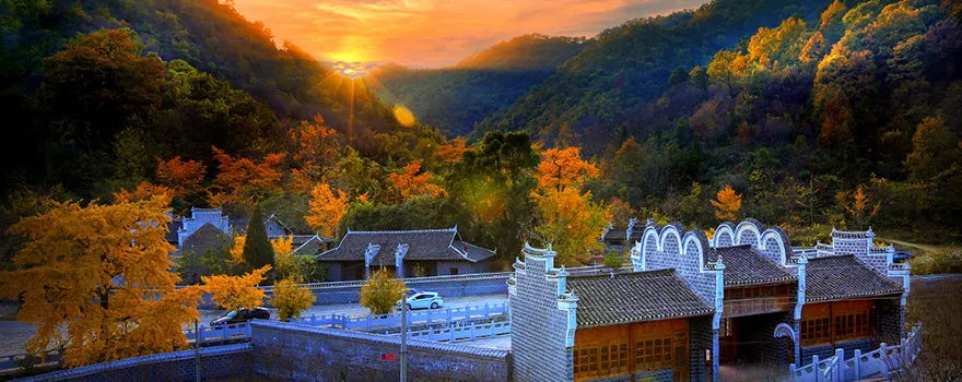 Anlu QianChong Ancient Ginkgo Ecological Tourism Area