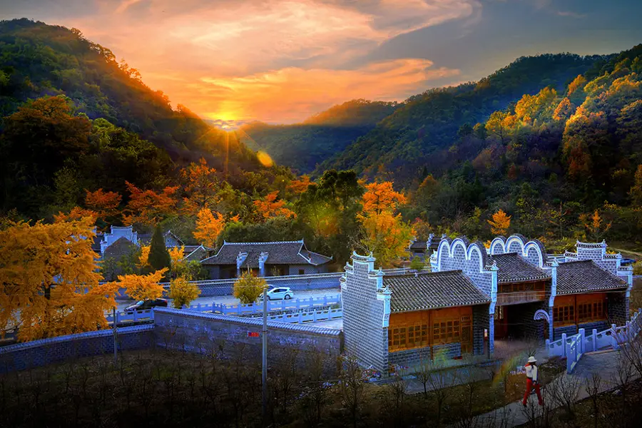 Anlu Qianchong Ginkgo Valley