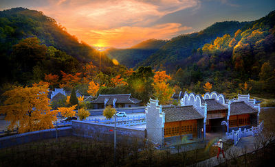Anlu QianChong Ancient Ginkgo Ecological Tourism Area
