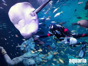 Aquaria Phuket