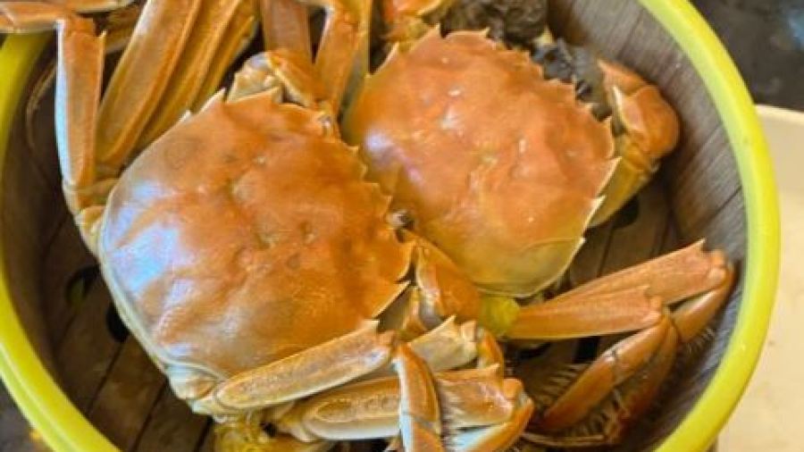 川骄海鲜自助(新华贸店)
