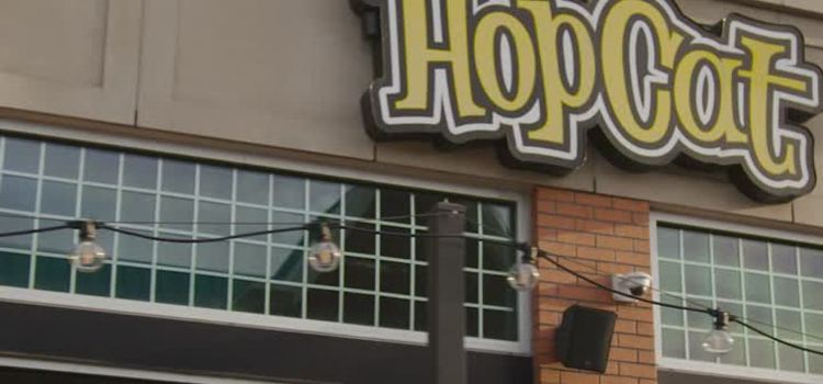 HopCat