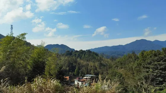 南宮森林公園