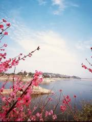 聖水湖桃花島