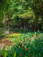 Shuisheng Botanical Garden
