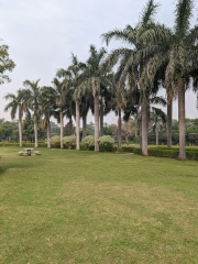 O.P.Jindal Park Kurukshetra