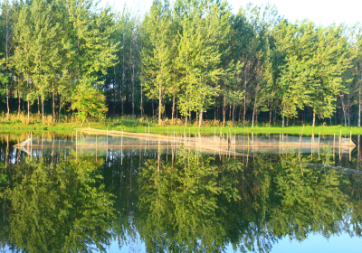 Xifeihe Wetland Park