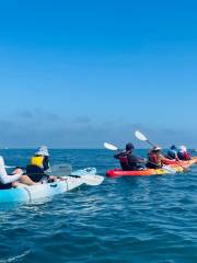 Broome Adventure Company - Turtle Kayak