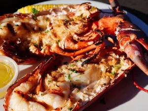 Yankee Lobster