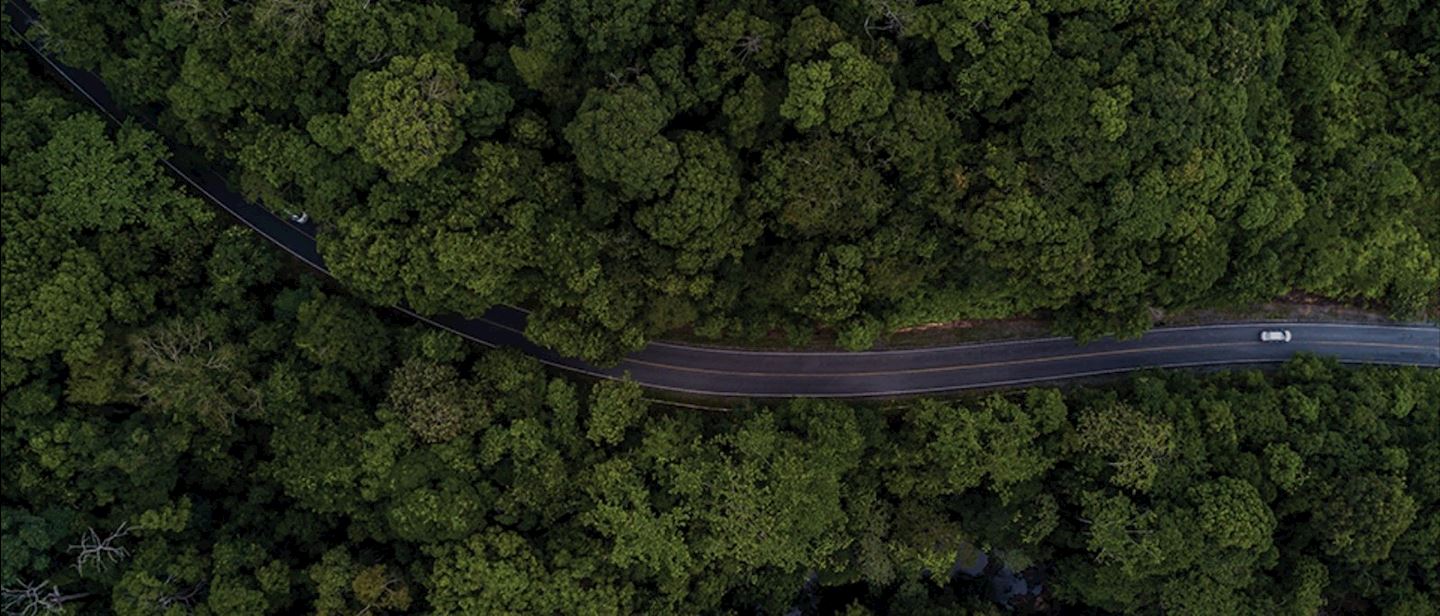 Khao Yai Marathon | Pak Chong