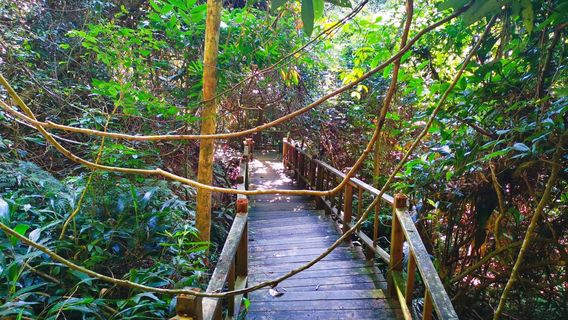 Силиконовая долина