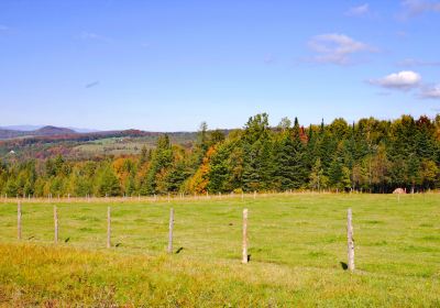 Koiwai Farm Makibaen