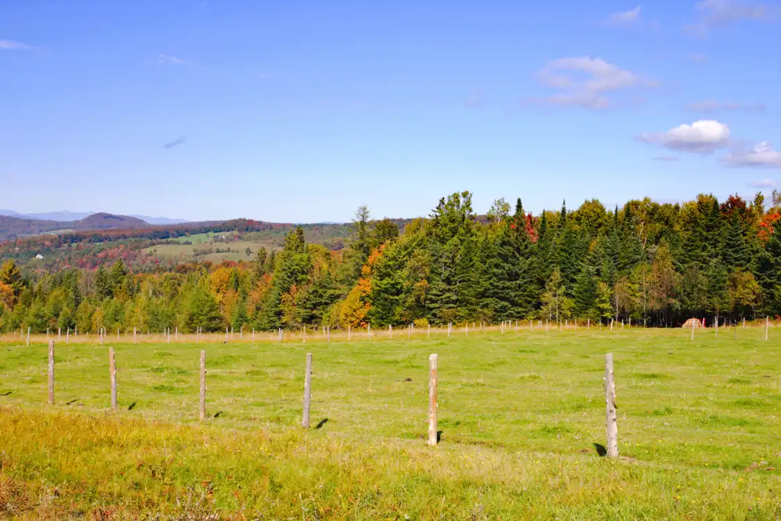 Hotels near Koiwai Farm