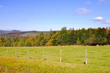 Koiwai Farm Makibaen
