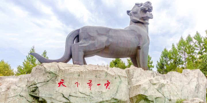 The Best Tiger In The World