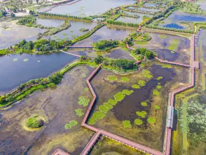 Shiping Yilonghu National Wetland Park