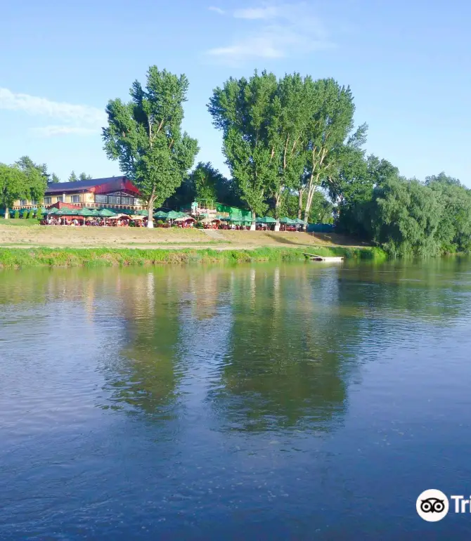 Arad