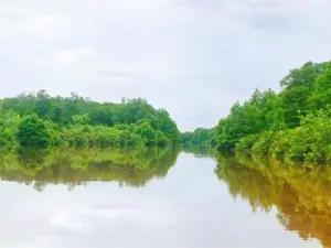 Binsulok River Cruise