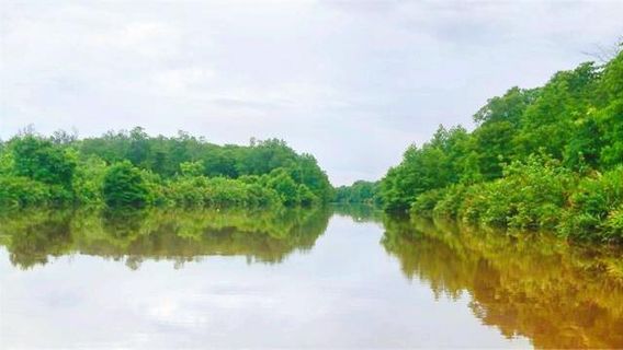 Binsulok River Cruise