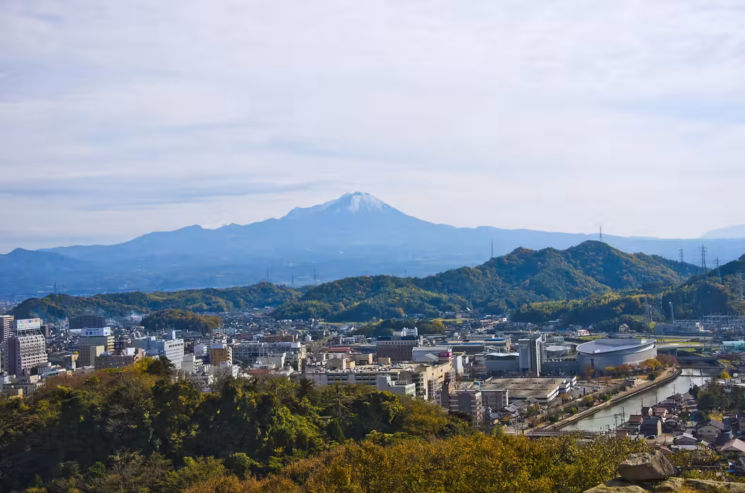Voli ${{cityDName}} Yonago