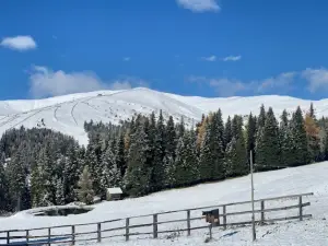 Schönberg 6er Schaukel Bergstation