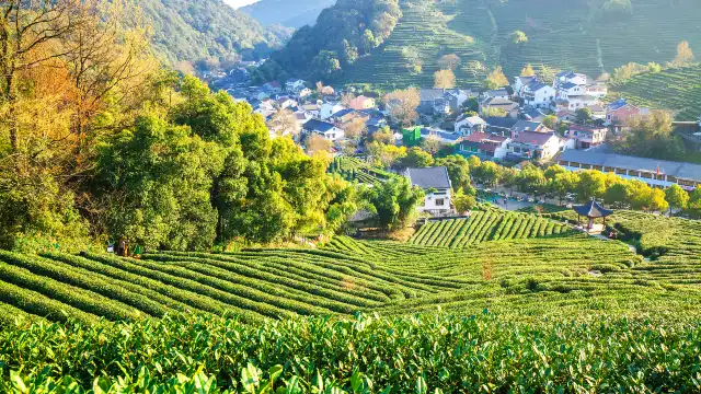 Longjing Village