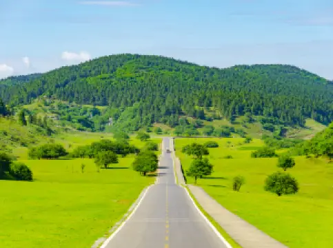 Fairy Mountain National Forest Park