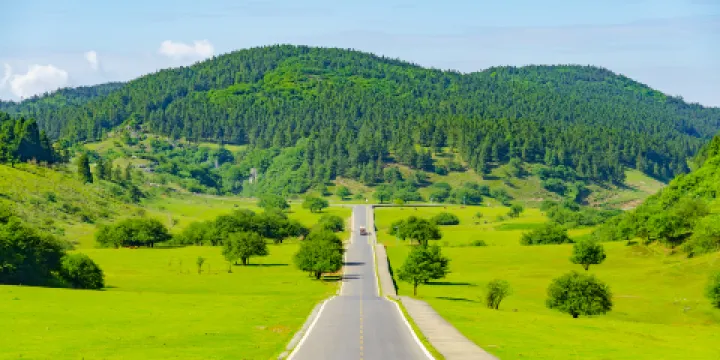 仙女山國家森林公園