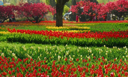 Hongshan Park