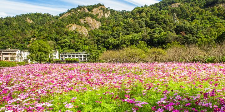 Yandang Mountain