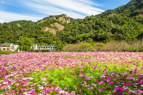 Yandang Mountain