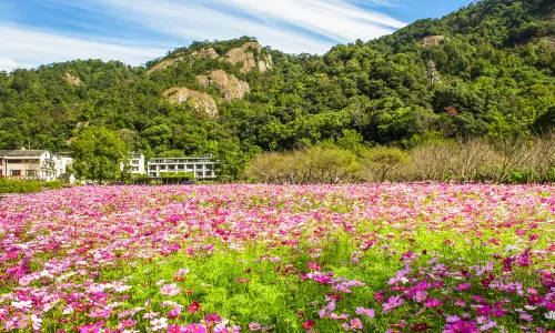 Yandang Mountain