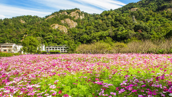 Wenzhou