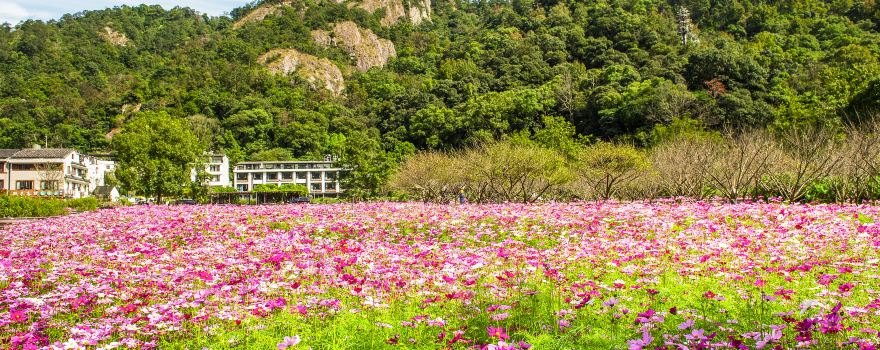 Yandang Mountain