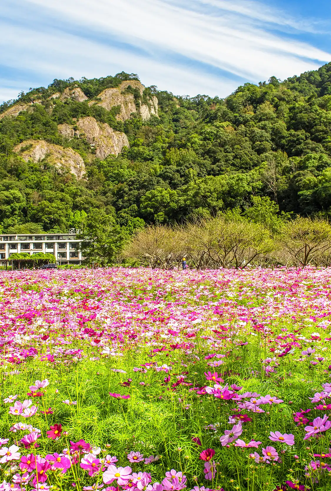 Hotels near Yandang Mountain