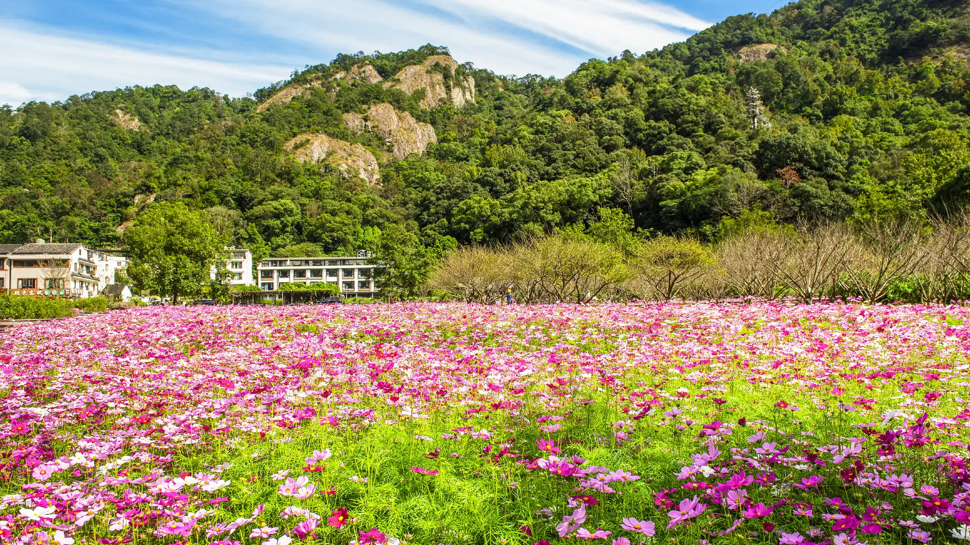 Hotels near Yandang Mountain
